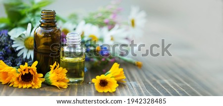 Essential oil bottles with medicinal plants and flowers, aromatherapy, phytotherapy, wellness and spa essnetial oil natural extracts