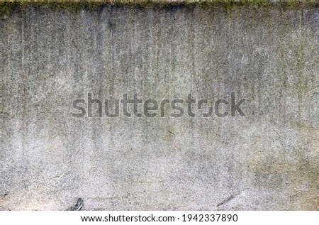 Aged concrete wall showing vertical streaks of dirt and lichen Royalty-Free Stock Photo #1942337890