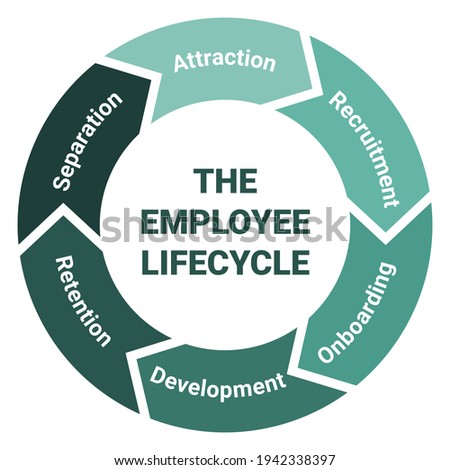 The employee lifecycle management scheme. Methodology circle diagram with attraction, recruitment, onboarding, development, retention and separation. Green on white background vector illustration. Royalty-Free Stock Photo #1942338397