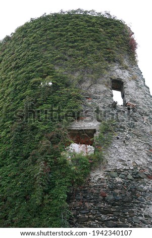 Ancient overgrown building as a human face.