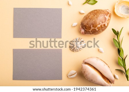 Composition of gray paper business cards, seashells, green boxwood. mockup on orange background. Blank, top view, still life, flat lay, copy space. travel concept.