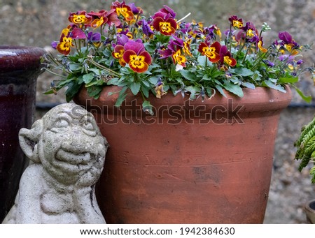 Statue of monkey sitting next to terracotta flower pot full of colourful pansies in a suburban garden.
