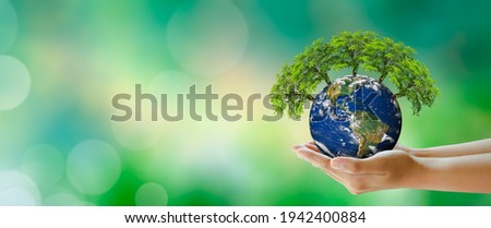 Growing tree on Planet Earth in hand. Green background with bokeh. World mental health and World earth day. Elements furnished by NASA. Saving environment and World Ecology Concept.