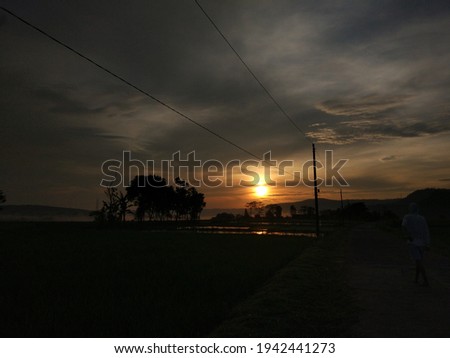 photo of silhouettes of trees against a backdrop of sunrise and cloudy sky