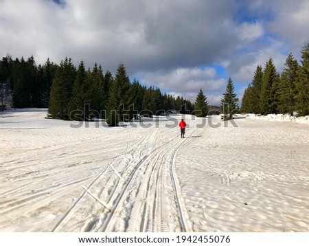 A closeup shot of an athlete on the path leading to the forest on the hill covered in snow