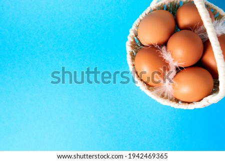 White handmade straw basket full of eggs and feather on blue background. Copy space. Empty text place. Easter holiday card. Springtime mockup design. Healthy food product. Farm production. Big size.