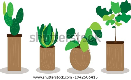 Green flowers in brown pots