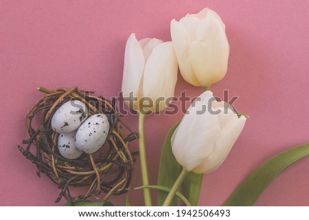 colorful easter eggs in nest and white tulip flowers against pink background