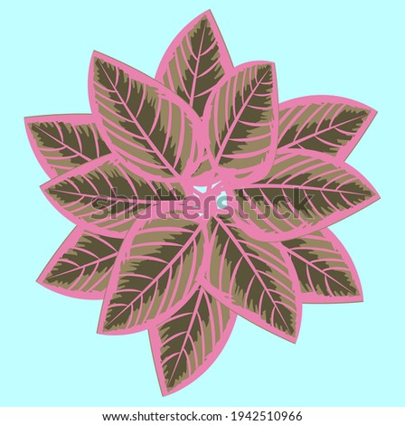 Illustration of green and purple aglonema flower petals on navy blue background