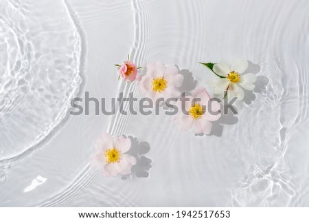 Greeting card with beautiful rose petals macro with drop floating on surface of the water close up. It can be used as background.

Flat lay, top view, copy space concept. Royalty-Free Stock Photo #1942517653