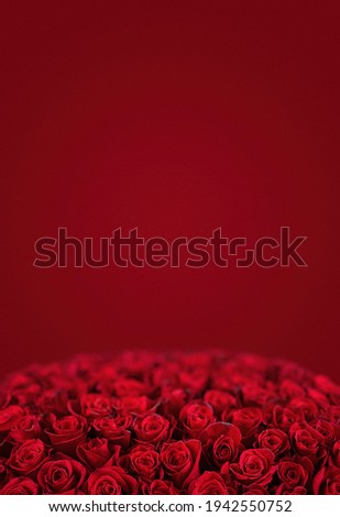 Red rose. Isolated large bouquet of 101 red rose.