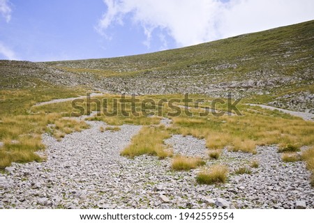 An arid meadow in the Sibillini Mountains National Park (Marche, Italy, Europe)
