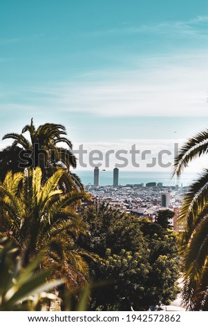 A tropical mood.The palm trees are like natural borders on the picture.The skyscraper is the center of the photo.