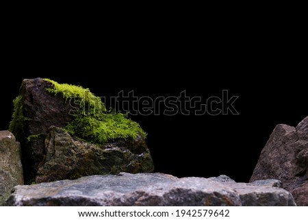Green Wet Moss, Showing a Blurred Rock Foreground leading to a Natural Stone Mineral. Royalty-Free Stock Photo #1942579642