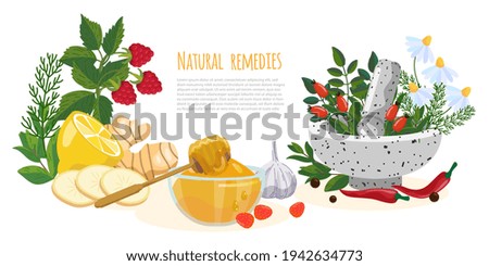 Natural remedies or folk medicine  banner. Raspberry, ginger, honey, garlic, pepper, chili, chamomile, lemon, rose hips, mint, mortar and pestle. Herbalism and Ayurveda concept with place for text  Royalty-Free Stock Photo #1942634773