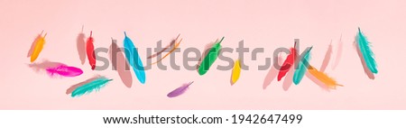 colorful vintage tropical feathers fly on pink bright summer background. abstract art. creative minimal idea.