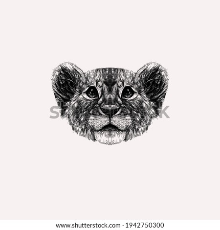 Art lion, cat, sketch animal