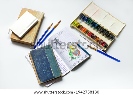 Picture of "working bee" and "internal structure of the beetle". Watercolor drawing of insects in a notebook, with books, notebooks, watercolors, brushes.  Educational material on entomology. Top view