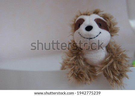 sloth bear toy close up
