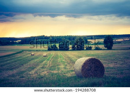 vintage photo of bale of straw on field. rural landscape