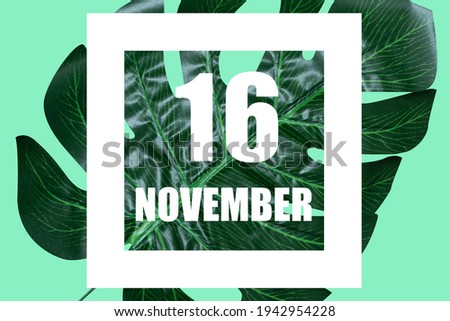 november 16th. Day 16 of month, Date text in white frame against tropical monstera leaf on green background autumn month, day of the year concept.
