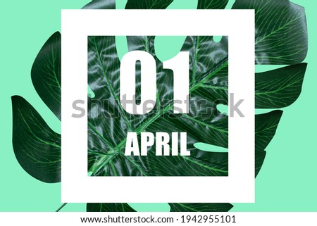 april 1st. Day 1 of month, Date text in white frame against tropical monstera leaf on green backgroundspring month, day of the year concept.