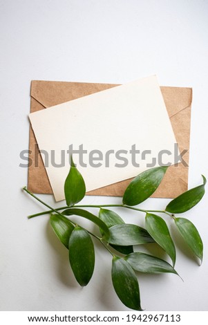 card mockup with green leaves of ruscus italian