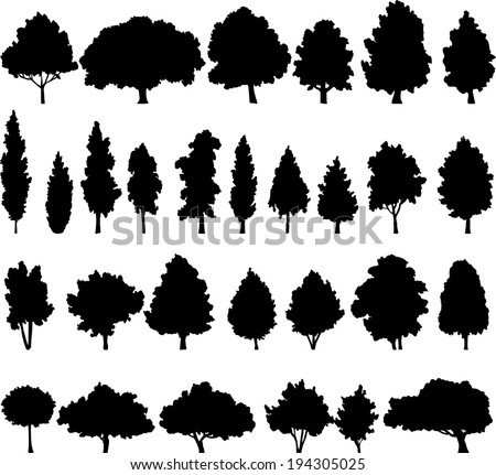 set of different deciduous trees, vector illustration
