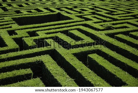 Maze detail in a forest, game and fun Royalty-Free Stock Photo #1943067577
