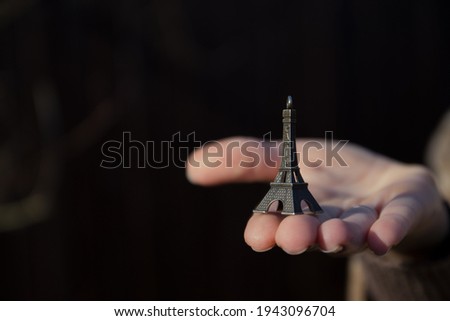 eiffel tower on the palm