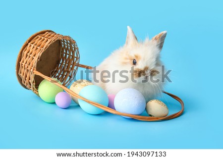 Cute rabbit with wicker basket and Easter eggs on color background