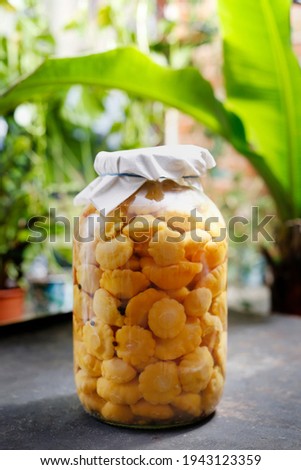 Marinated patisons. Jar with vegetable preserves.