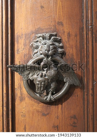 A door knocker with a lion head and a griffin. High quality photo