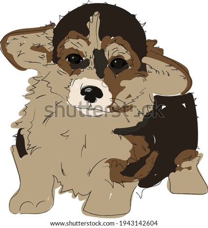 Vector drawing of a puppy. Cute dog, funny puppy, dog portrait. Draw a dog Active
