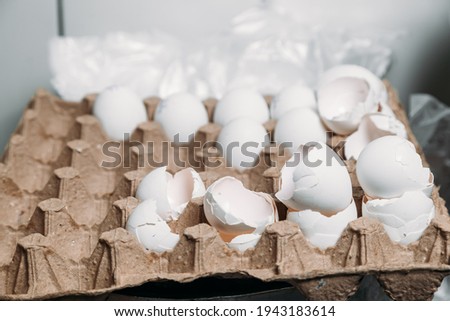 Empty eggshells in an egg carton. Many white eggshells