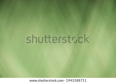 Delicate pistachio mint green blurred background texture