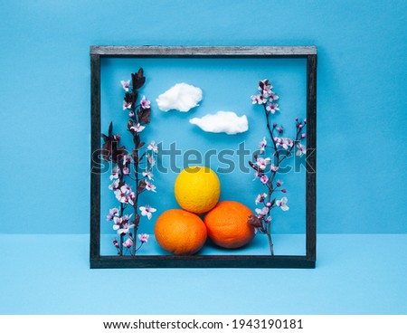 Creative spring composition made of cherry blossom tree branches and wooden picture frame on blue background with oranges and lemon, spring concept, picture in picture