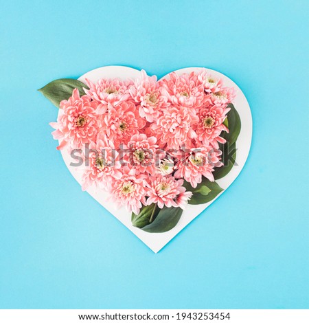 Coral flowers in a heart shaped frame. Minimal spring story on  blue background