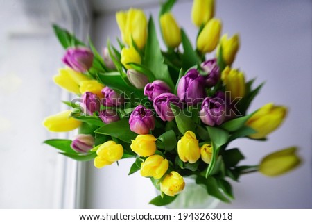 Background: a bouquet of yellow and purple tulips. The concept of spring, holiday. Valentine's Day and Mother's Day background.