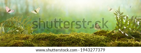 Spring background. Sunrise in the forest. Forest mosses and creatures.