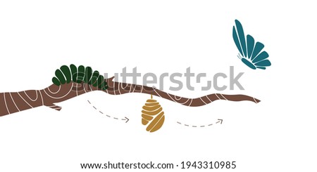 vector drawing of a caterpillar in a butterfly, on a white background