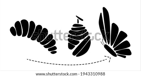 vector drawing of a caterpillar in a butterfly, on a white background