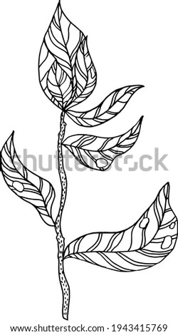 branch with leaves.Vector hand drawing branches with leaves and stripes