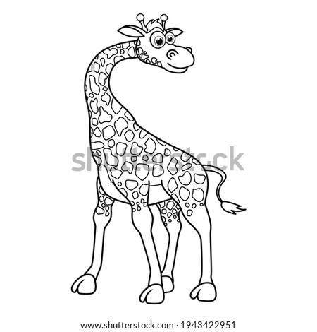 Colorless cartoon Giraffe stands and smiles. Coloring pages. Template page for coloring book of funny Calf for kids. Practice worksheet or Anti-stress page for child. Cute outline education game.