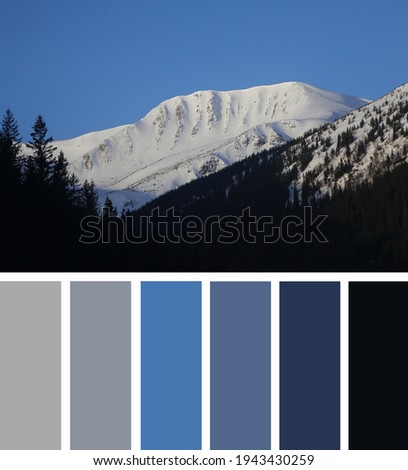 Sunny and windy winter day in the mountains. Rebra peak,  Chornohora, Carpathian Mountains, Ukraine. Color palette series: shades of gray and blue. Color swatches.