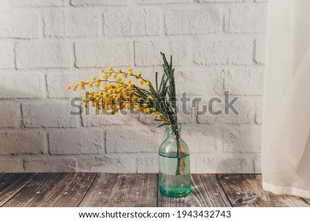 a small bottle with mimosa on a brick wall background. spring concept