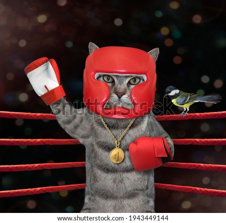 A gray cat athlete in red boxing uniform with a gold medal for first place stands in the corner of a boxing ring.