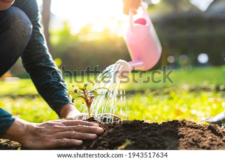 World environment day afforestation nature and ecology concept The hands of a young male volunteer are planting seedlings and watering the plants in the ground while working to save the Earth Day. Royalty-Free Stock Photo #1943517634