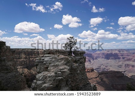 USA traveling trip. Grand Canyon National Park. Panorama Arizona.