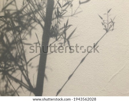 Abstract nature pattern. The shadow of the  bamboo leaves on the surface of the wall. It is a beautiful background picture.